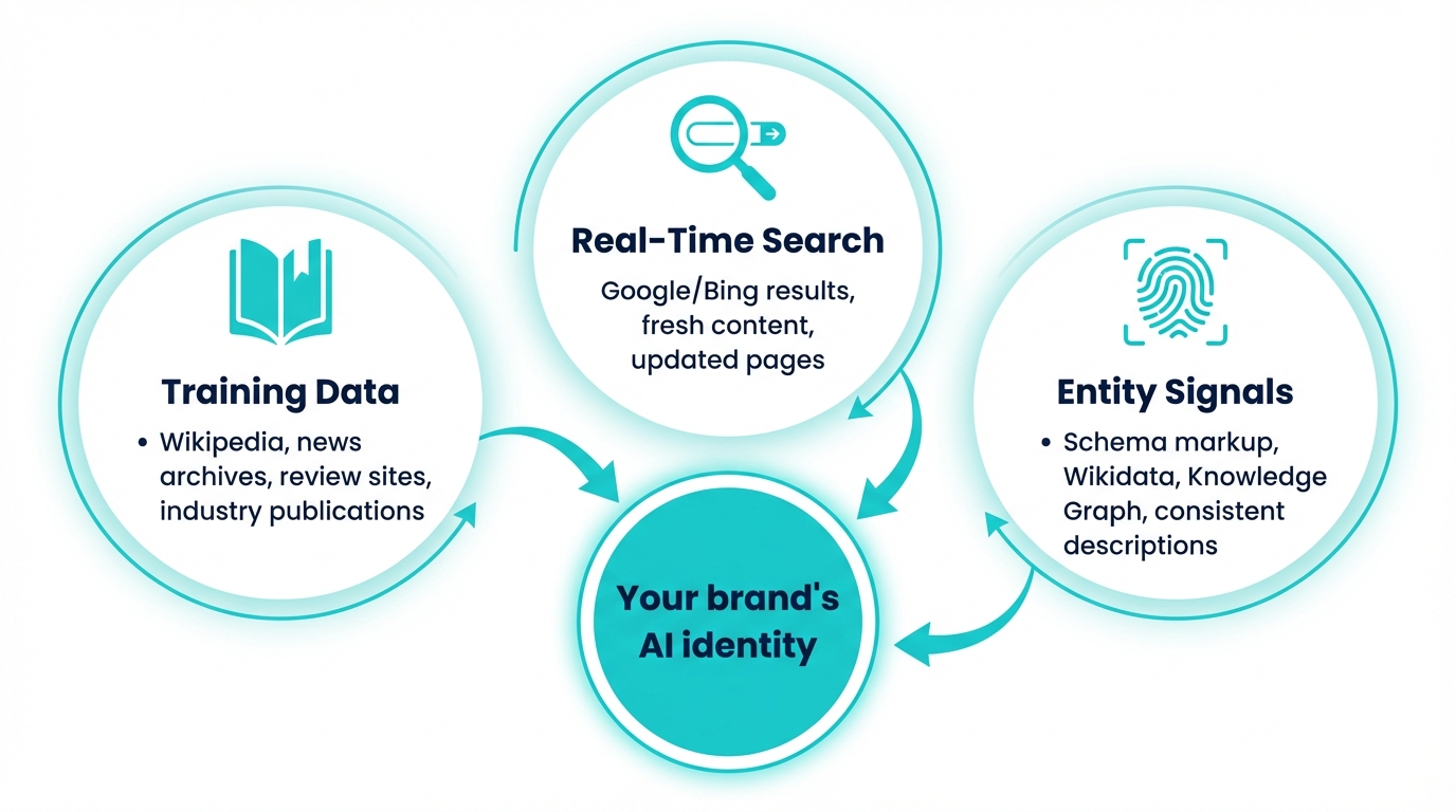 Three sources AI uses for brand information: training data, real-time search, and entity signals